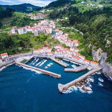 Arrigane Nº Licencia Ebi01970 * ゲルニカ・イ・ルノ